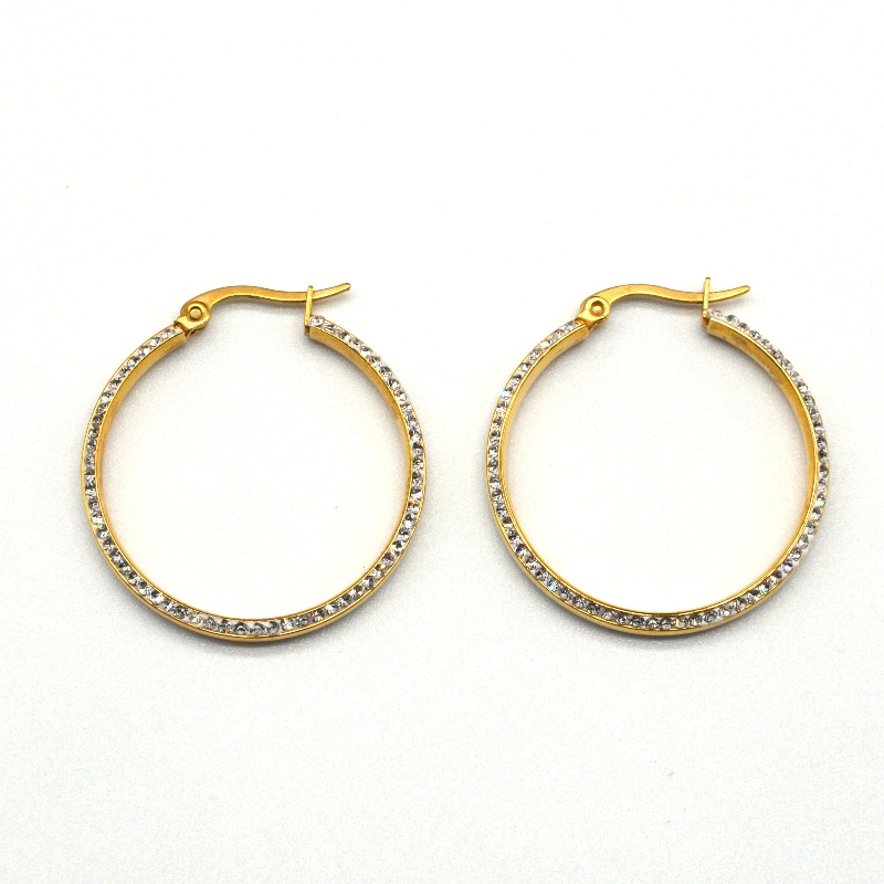 Fashion Jewelry, stainless steel jewelry, stainless steel earrings, Diamond earrings, rhinestones, Zircon Hoop Earrings  rfber0023